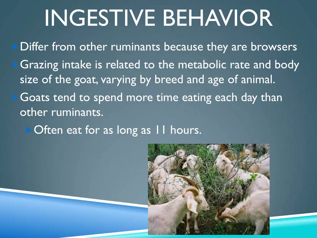 ingestive behavior