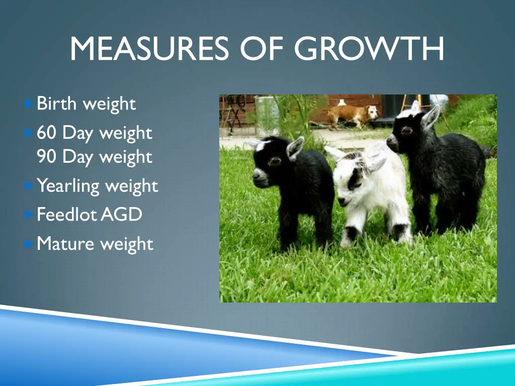 measures of growth