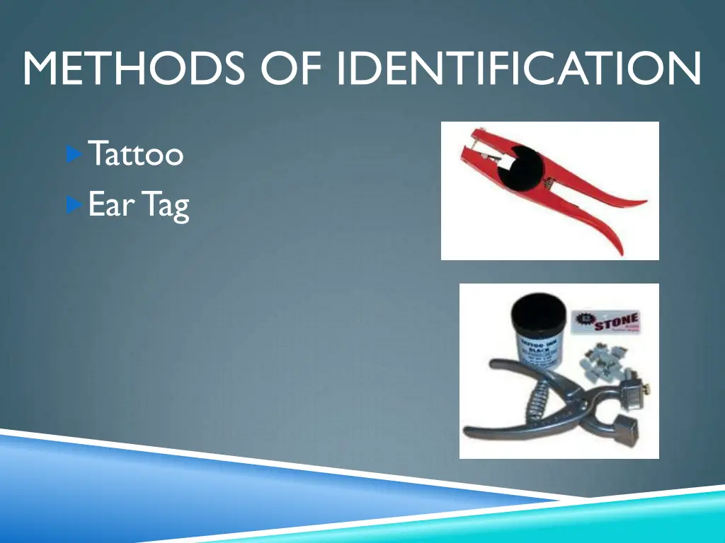 methods of identification