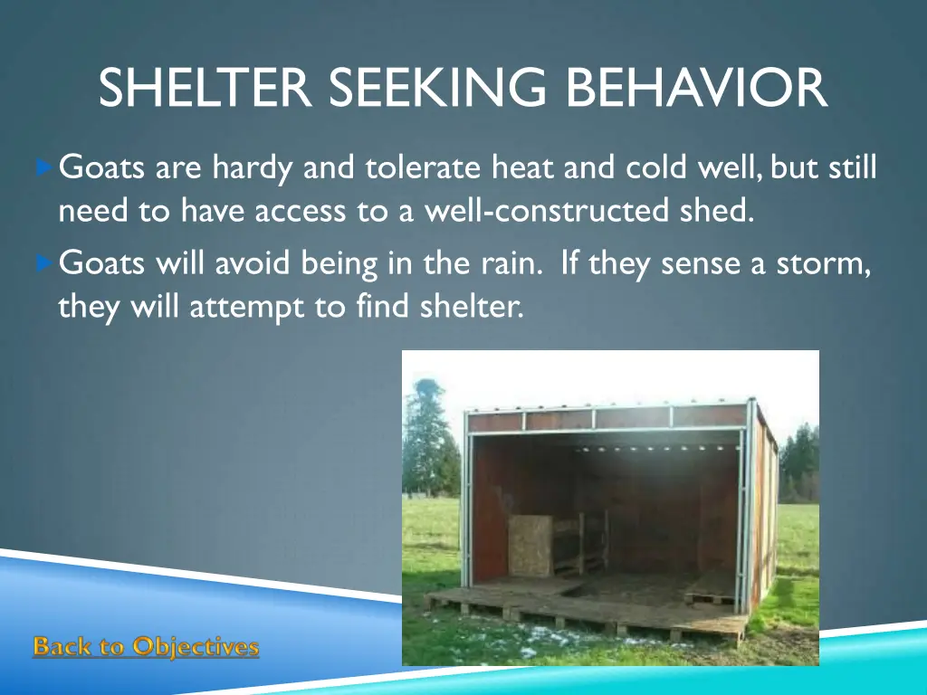 shelter seeking behavior