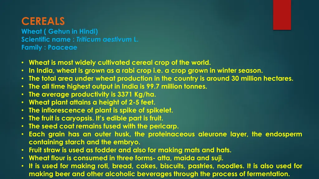 cereals wheat gehun in hindi scientific name