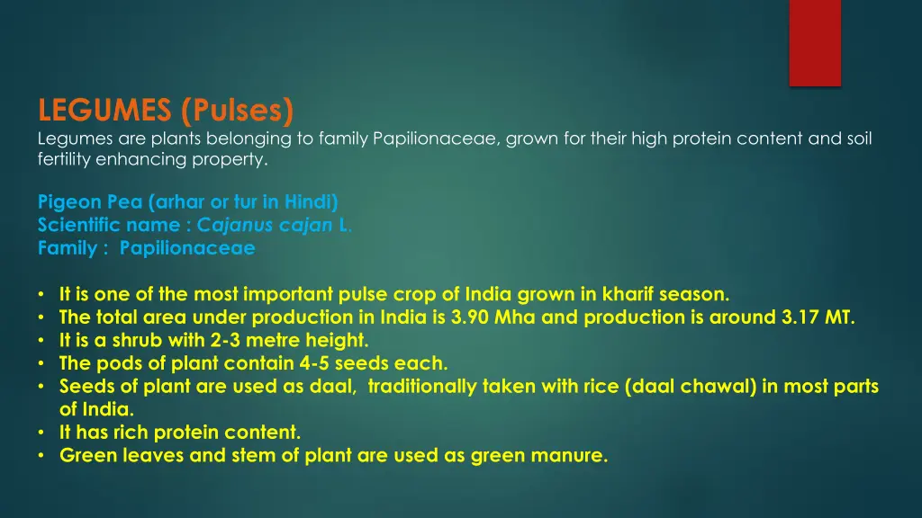 legumes pulses legumes are plants belonging