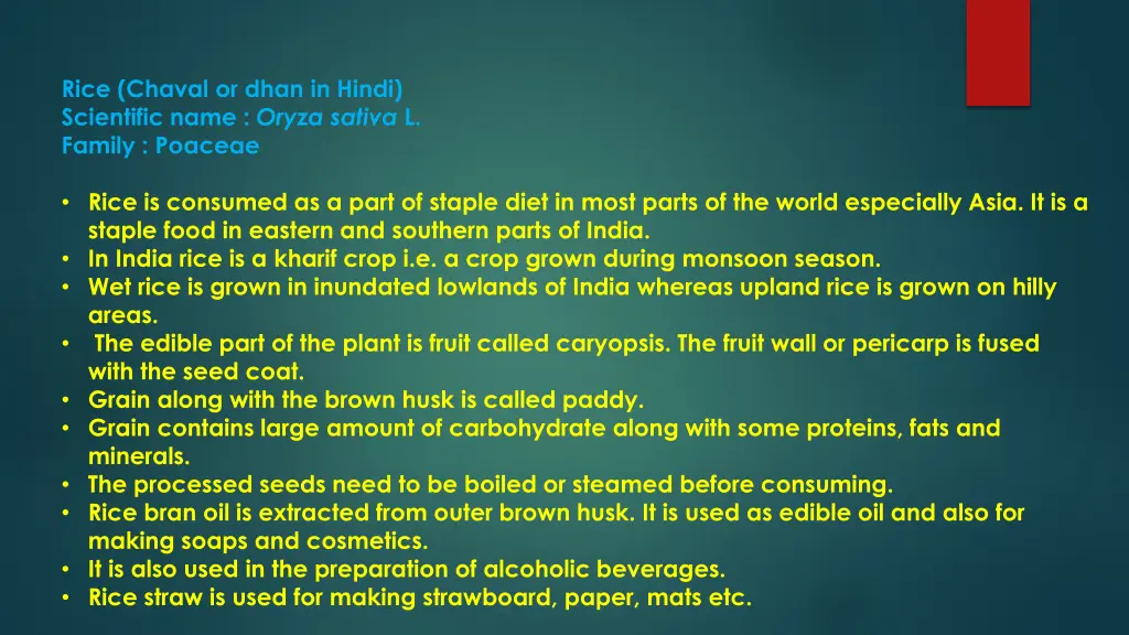 rice chaval or dhan in hindi scientific name