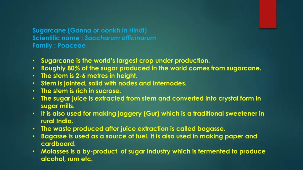 sugarcane ganna or oonkh in hindi scientific name