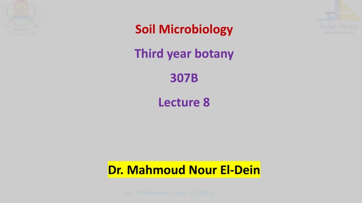 soil microbiology