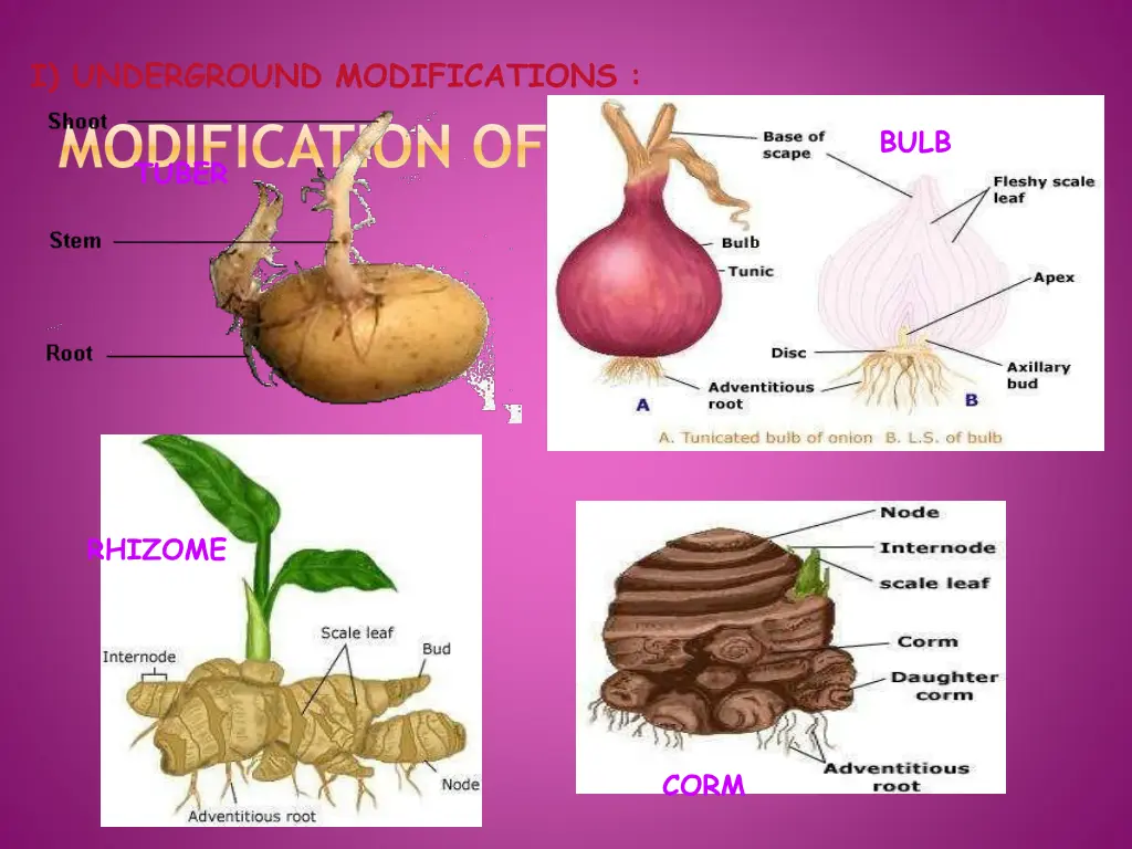 i underground modifications