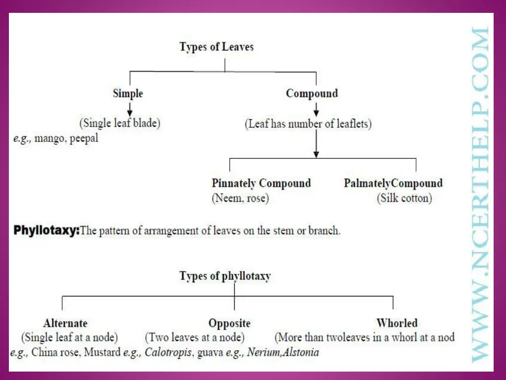 slide21