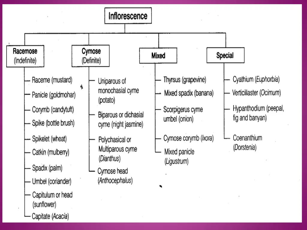 slide31