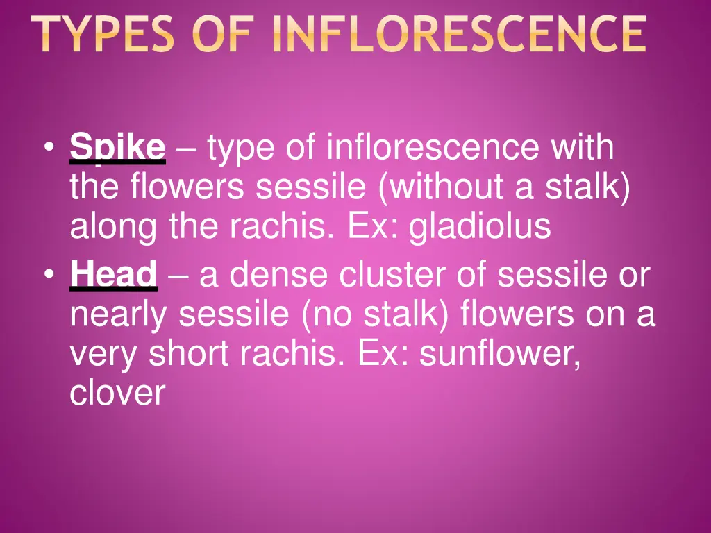 types of inflorescence 1