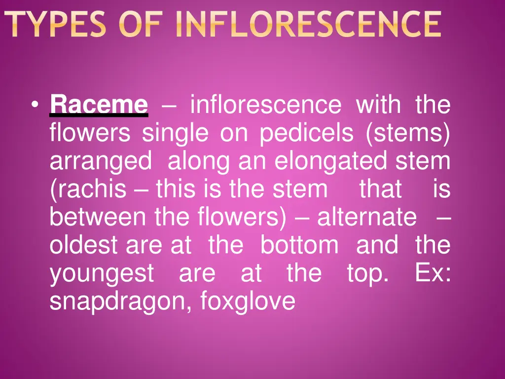 types of inflorescence