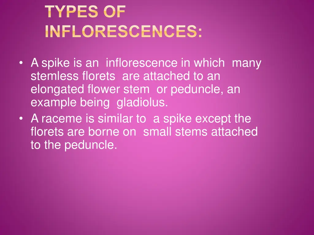 types of inflorescences 1