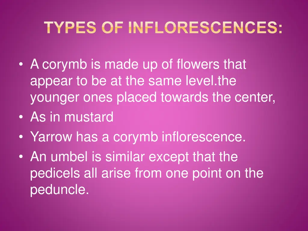 types of inflorescences 2