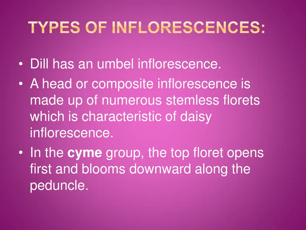 types of inflorescences 3