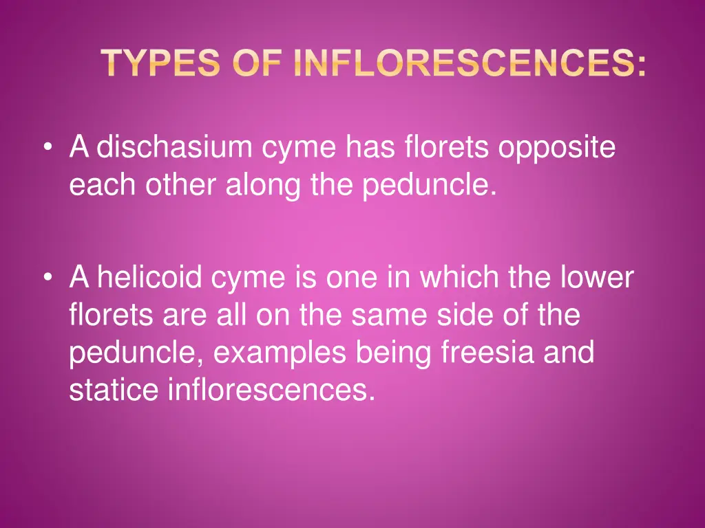 types of inflorescences 4