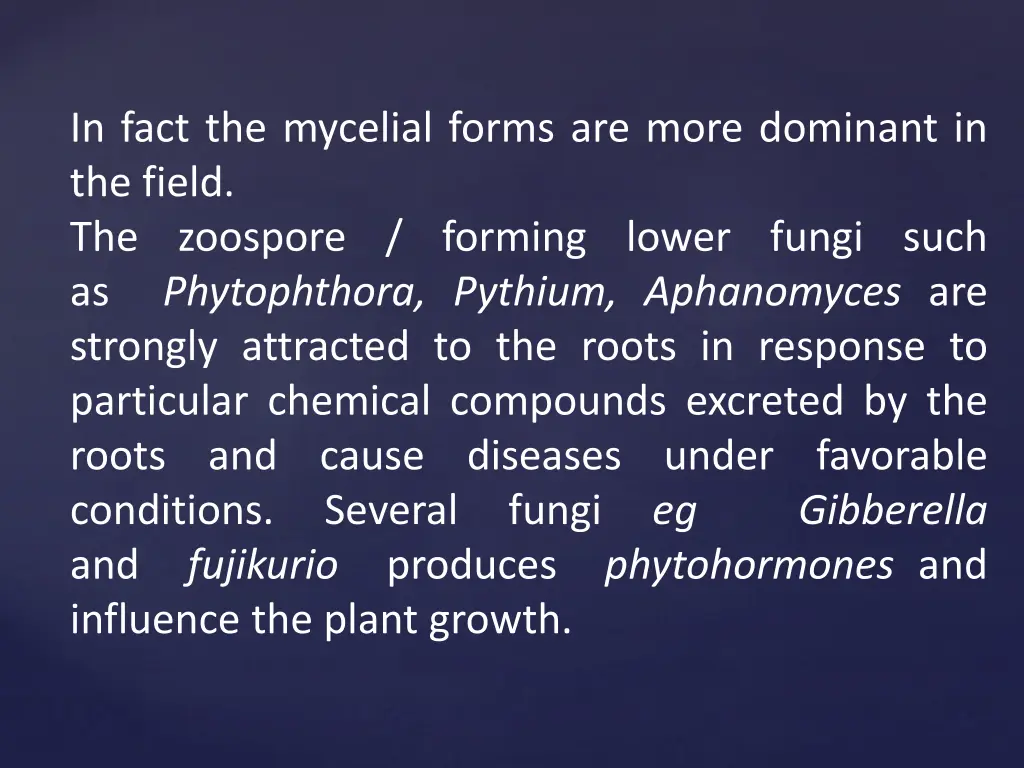 in fact the mycelial forms are more dominant