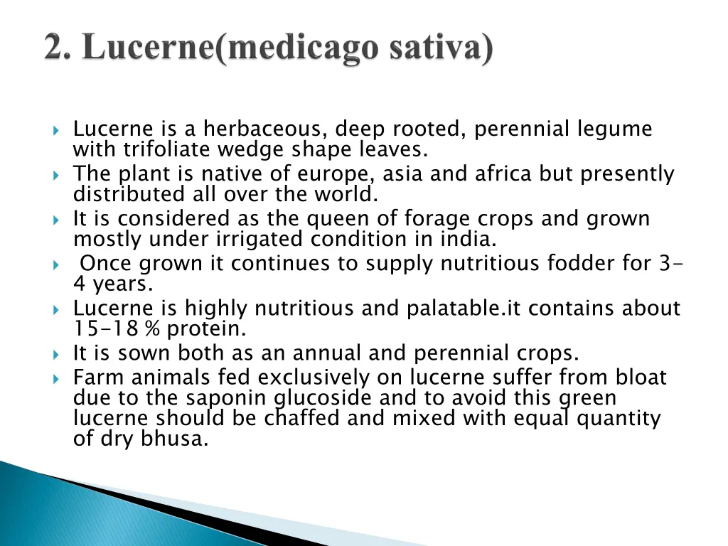 lucerne is a herbaceous deep rooted perennial