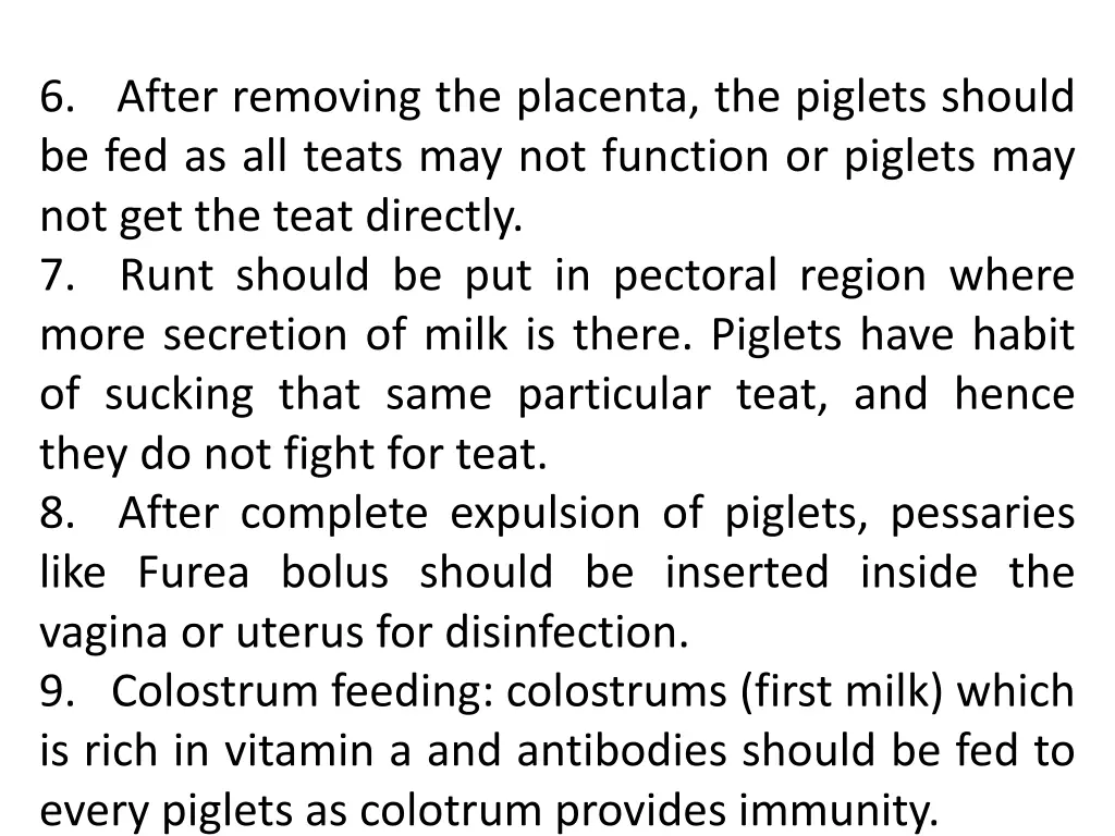 6 after removing the placenta the piglets should