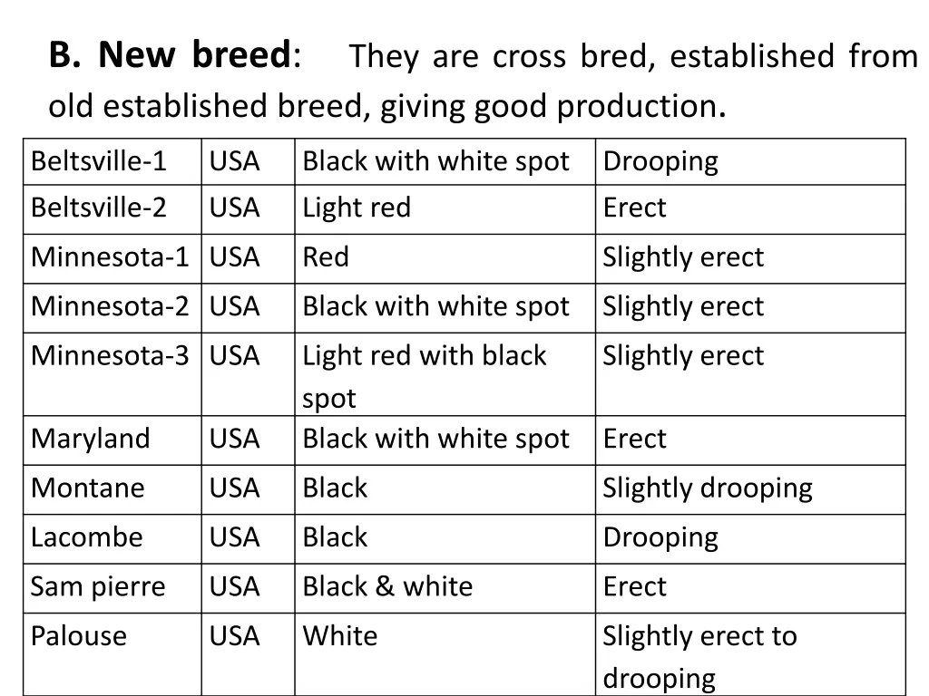 b new breed they are cross bred established from