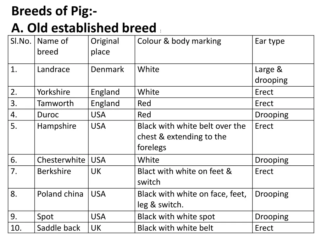 breeds of pig a old established breed