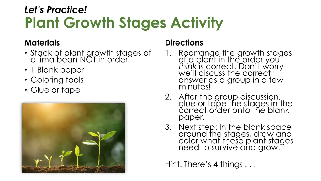 let s practice plant growth stages activity