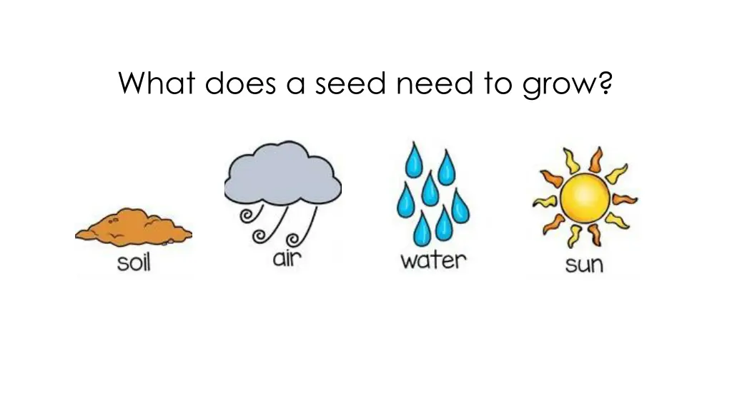 what does a seed need to grow 1