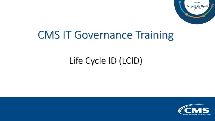 cms it governance training