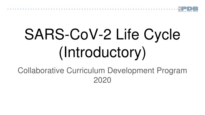 sars cov 2 life cycle introductory