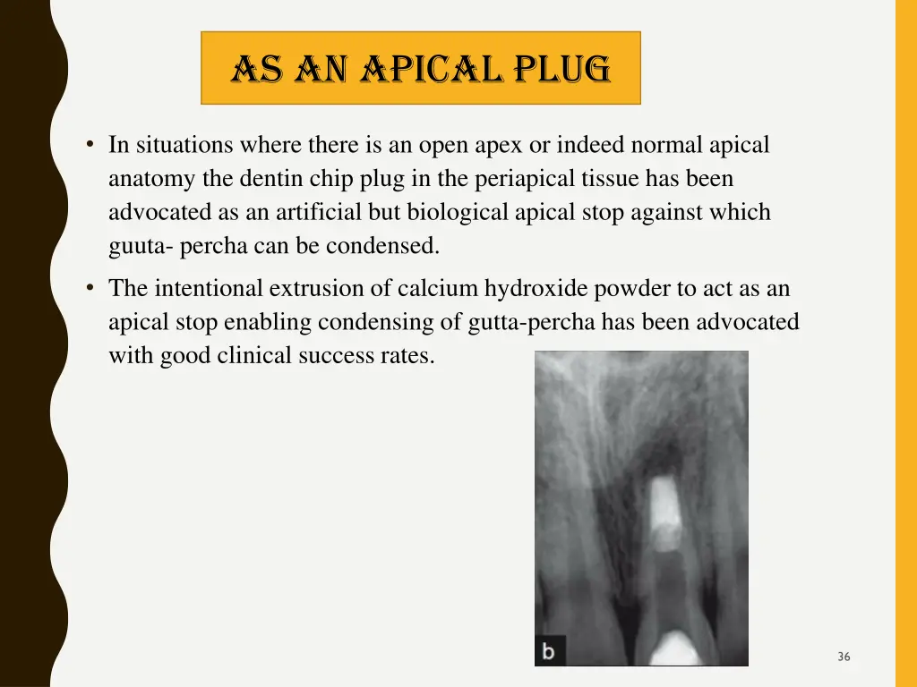 as an apical plug