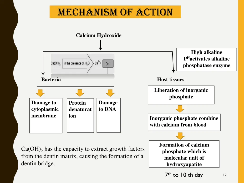 mechanism of action