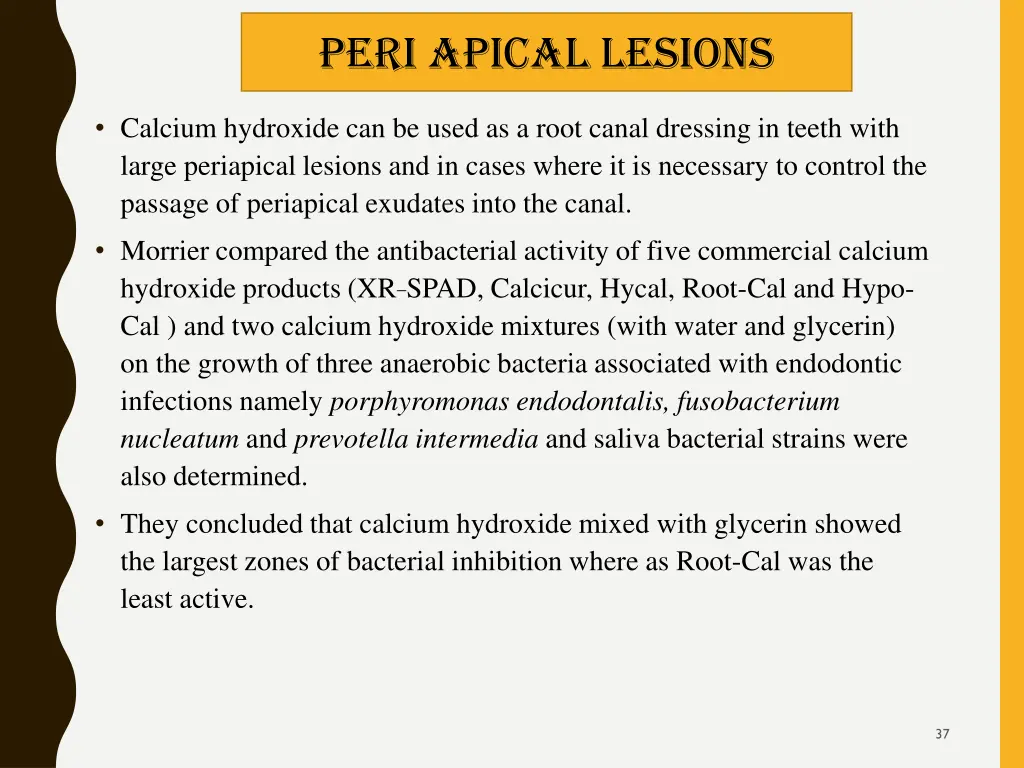 peri apical lesions