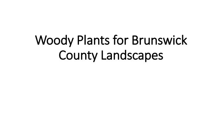 woody plants for brunswick woody plants