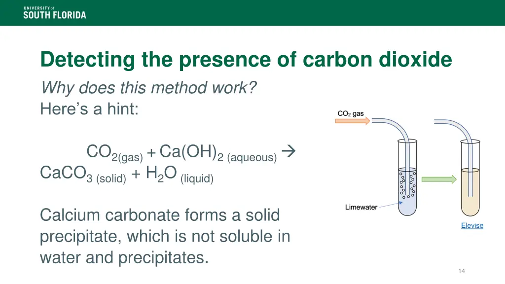 detecting the presence of carbon dioxide why does