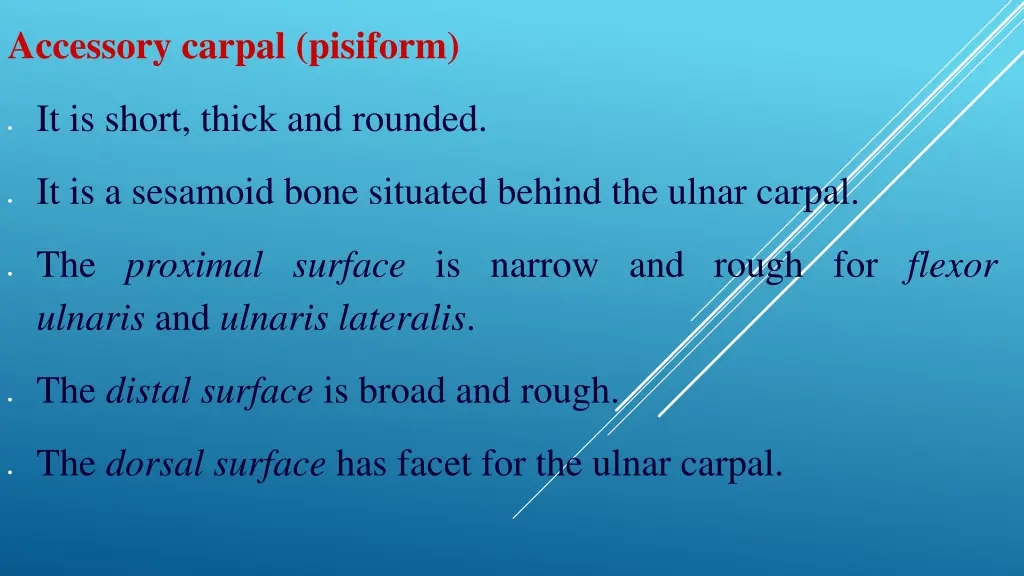 accessory carpal pisiform