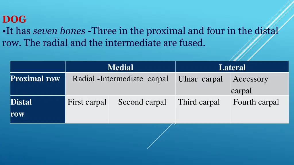 dog it has seven bones three in the proximal