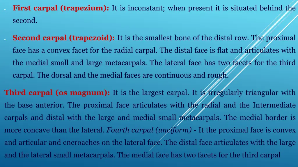 first carpal trapezium it is inconstant when