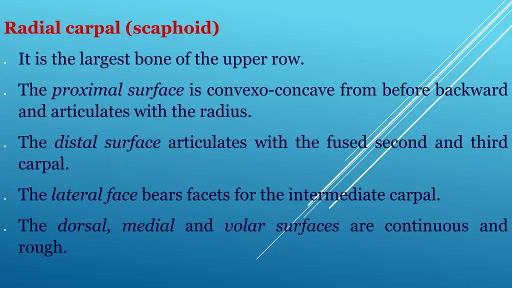 radial carpal scaphoid