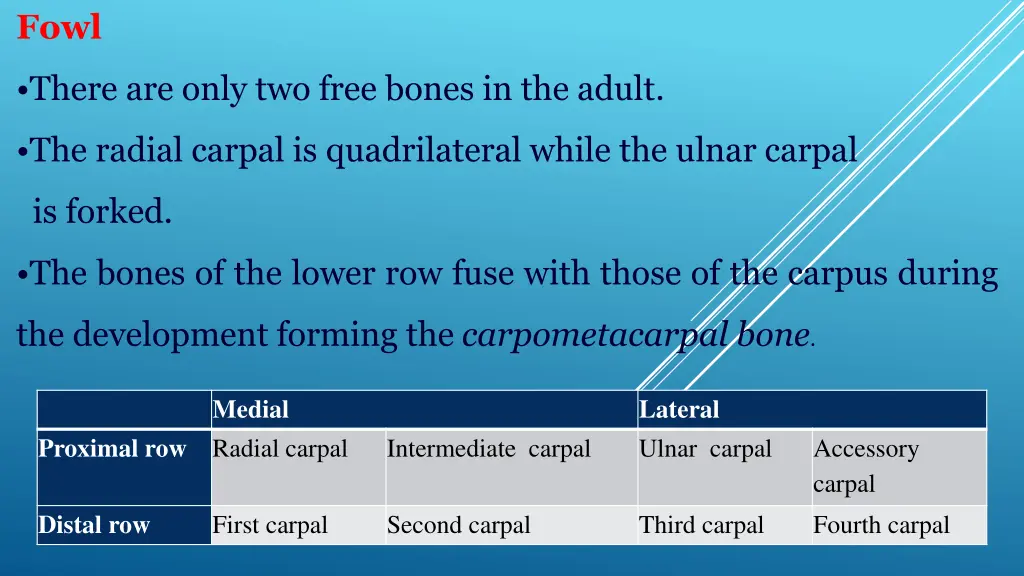 slide13