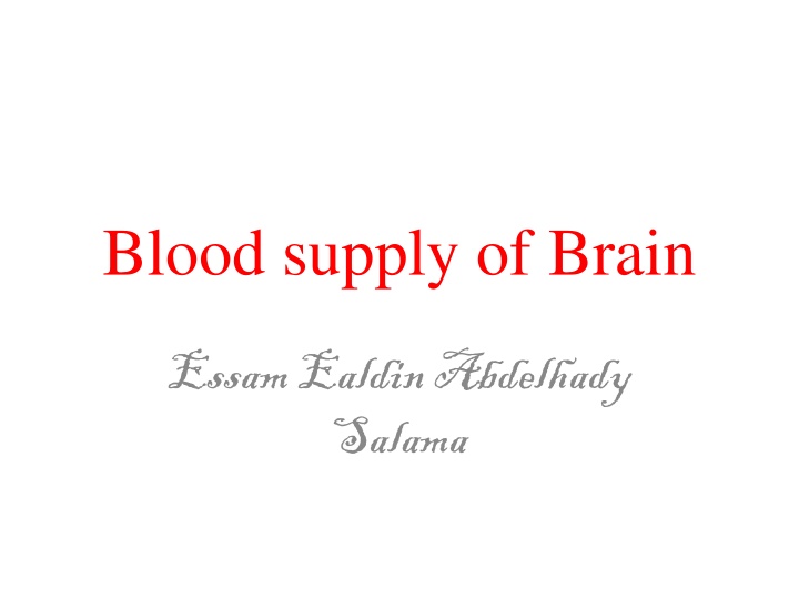 blood supply of brain