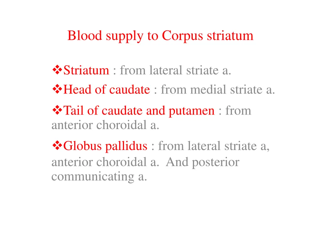 blood supply to corpus striatum