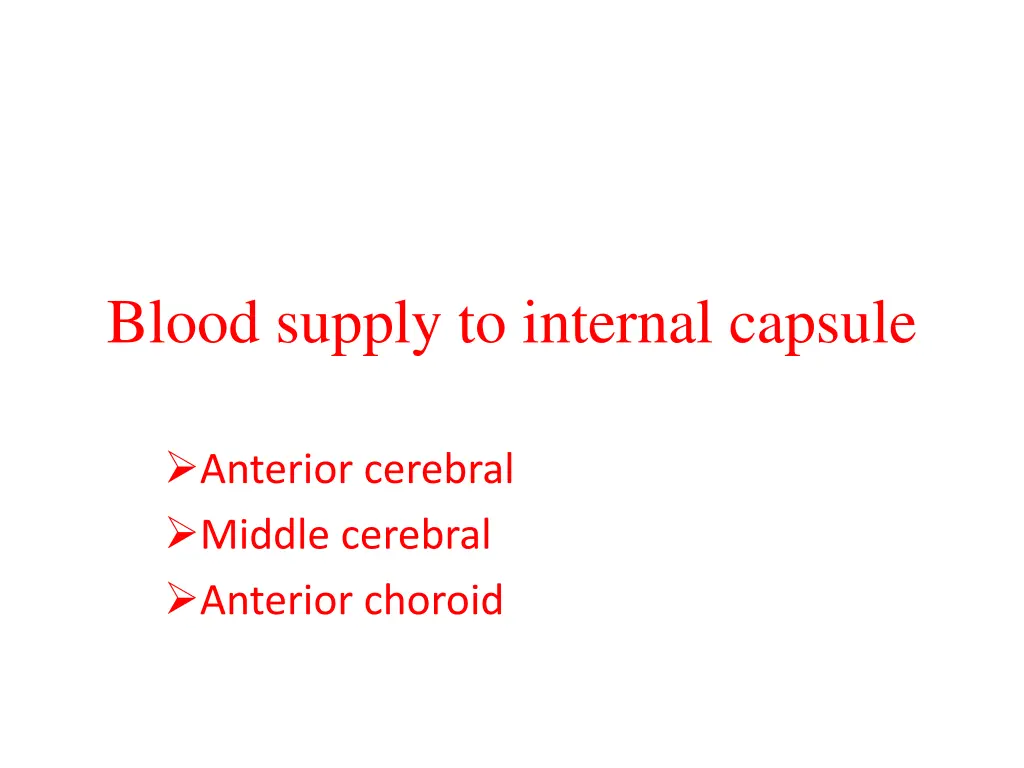 blood supply to internal capsule