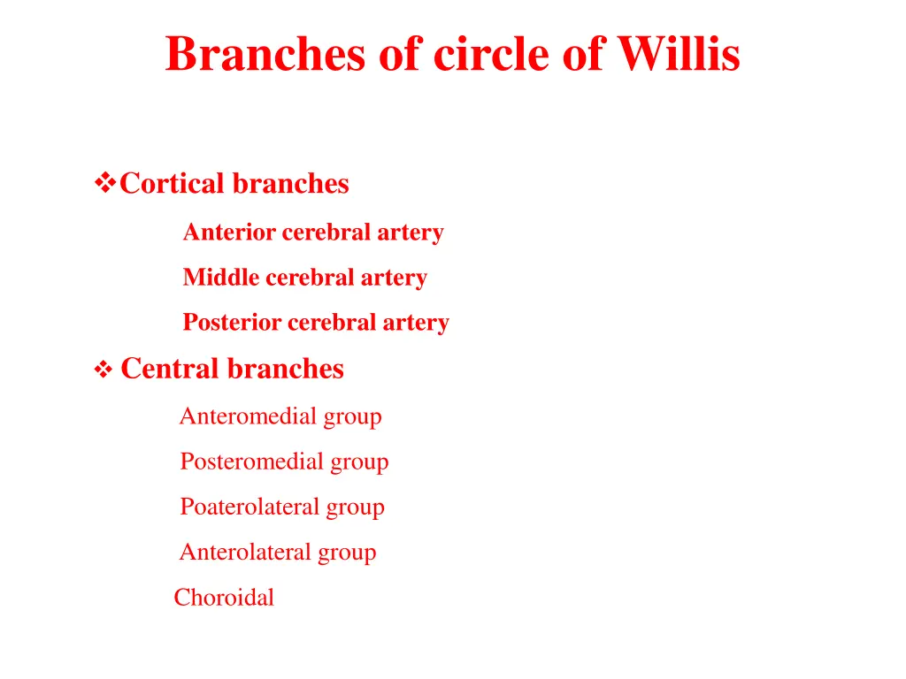 branches of circle of willis