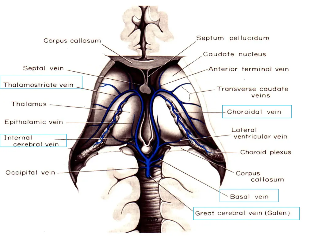 slide26