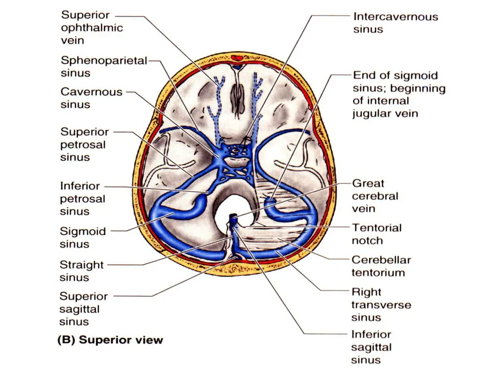 slide29