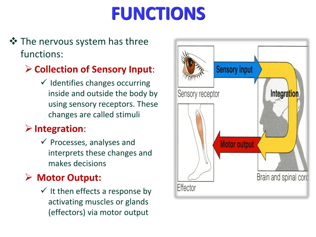 functions