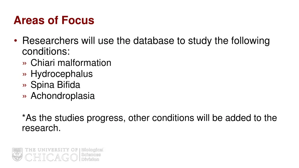 areas of focus