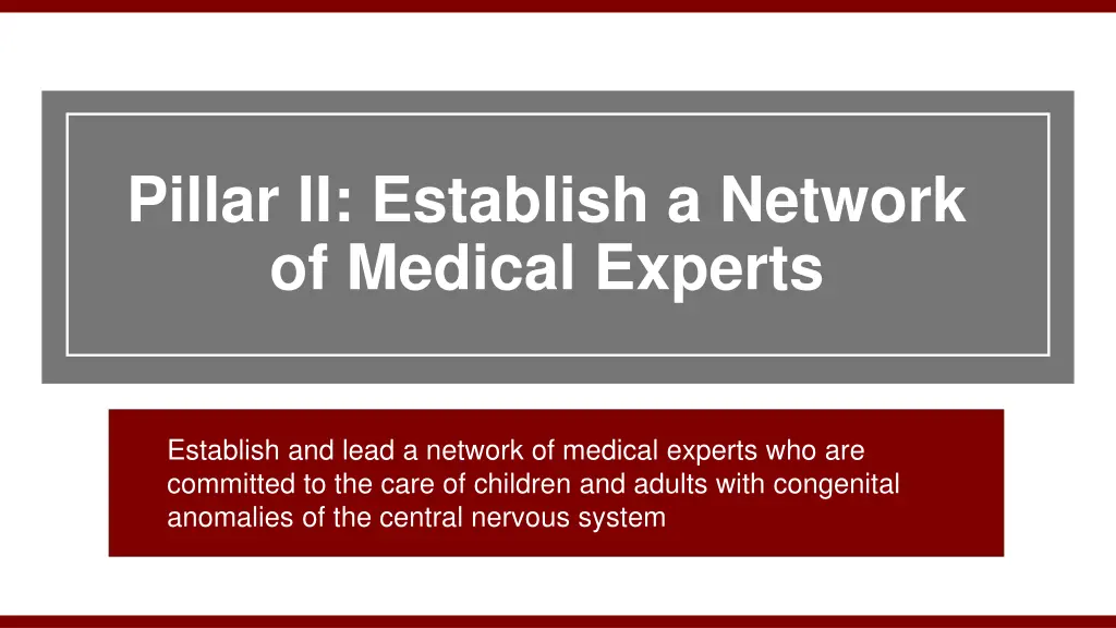 pillar ii establish a network of medical experts