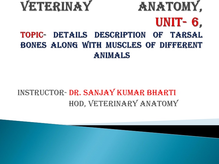 instructor dr sanjay kumar bharti hod veterinary