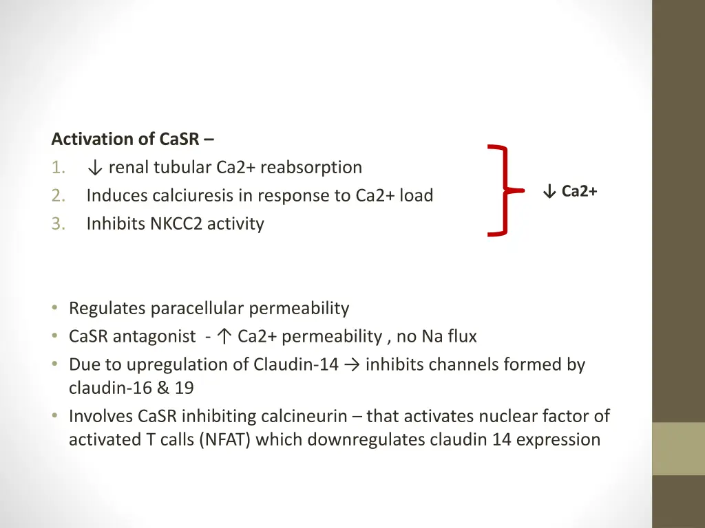 activation of casr 1 renal tubular