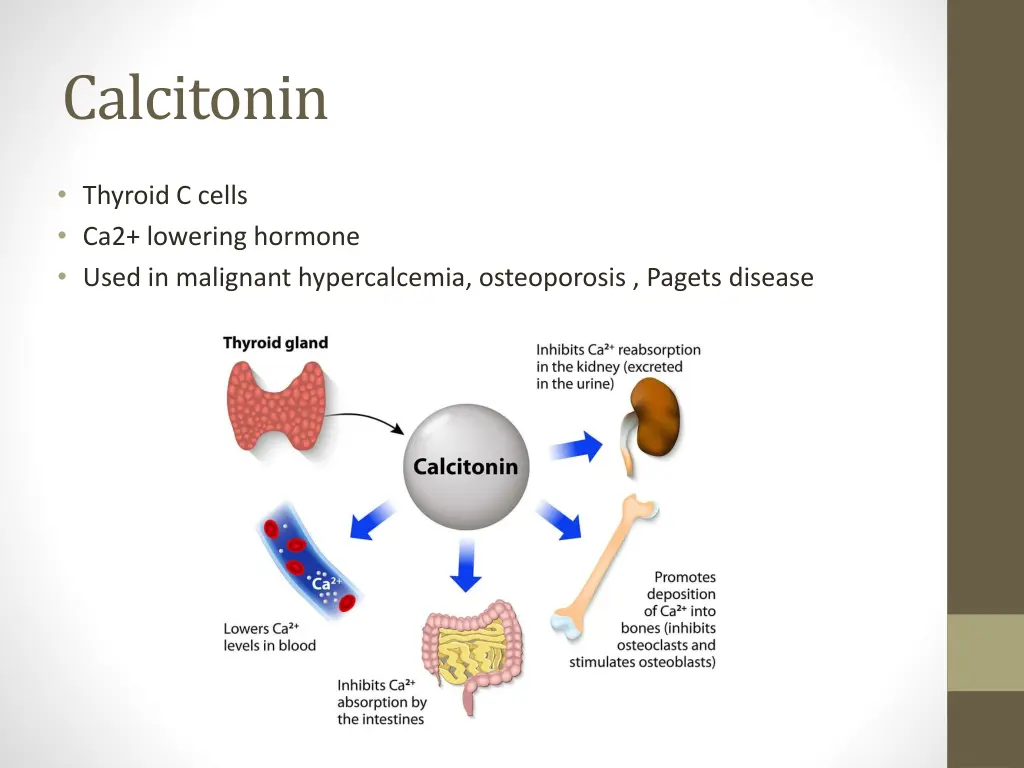 calcitonin