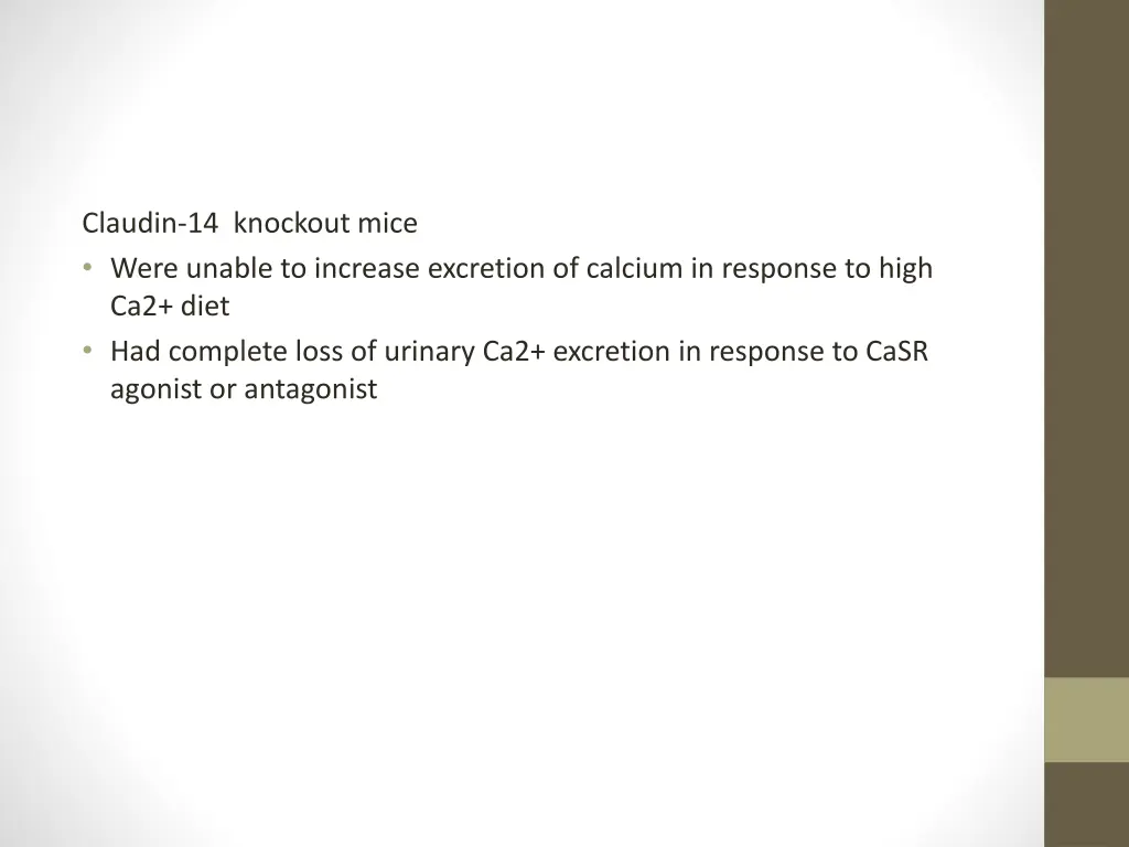 claudin 14 knockout mice were unable to increase